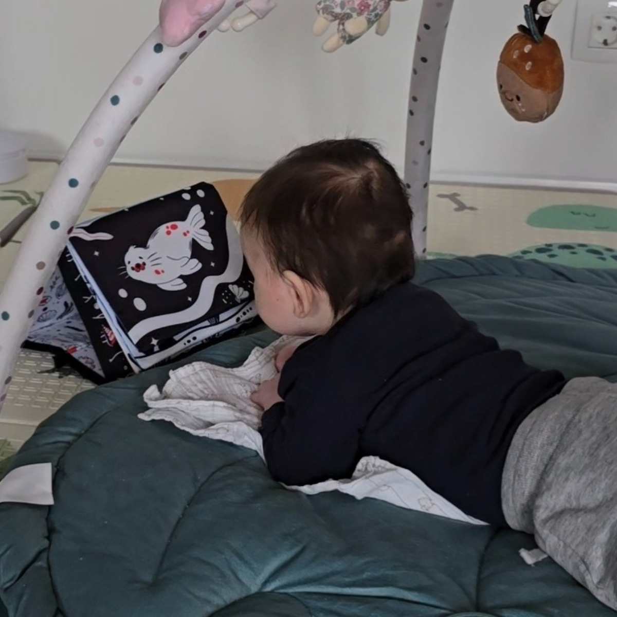 Sensory Tummy Time Toy with Squeaker | 0–12 months